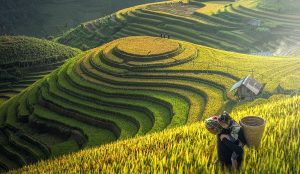 du-lich-tam-linh-lao-cai-co-nhung-ngoi-den-nao